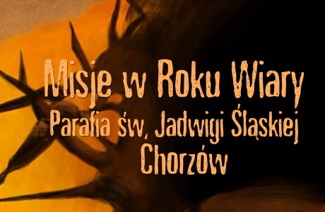 Relacje z Misji Parafialnych 2013